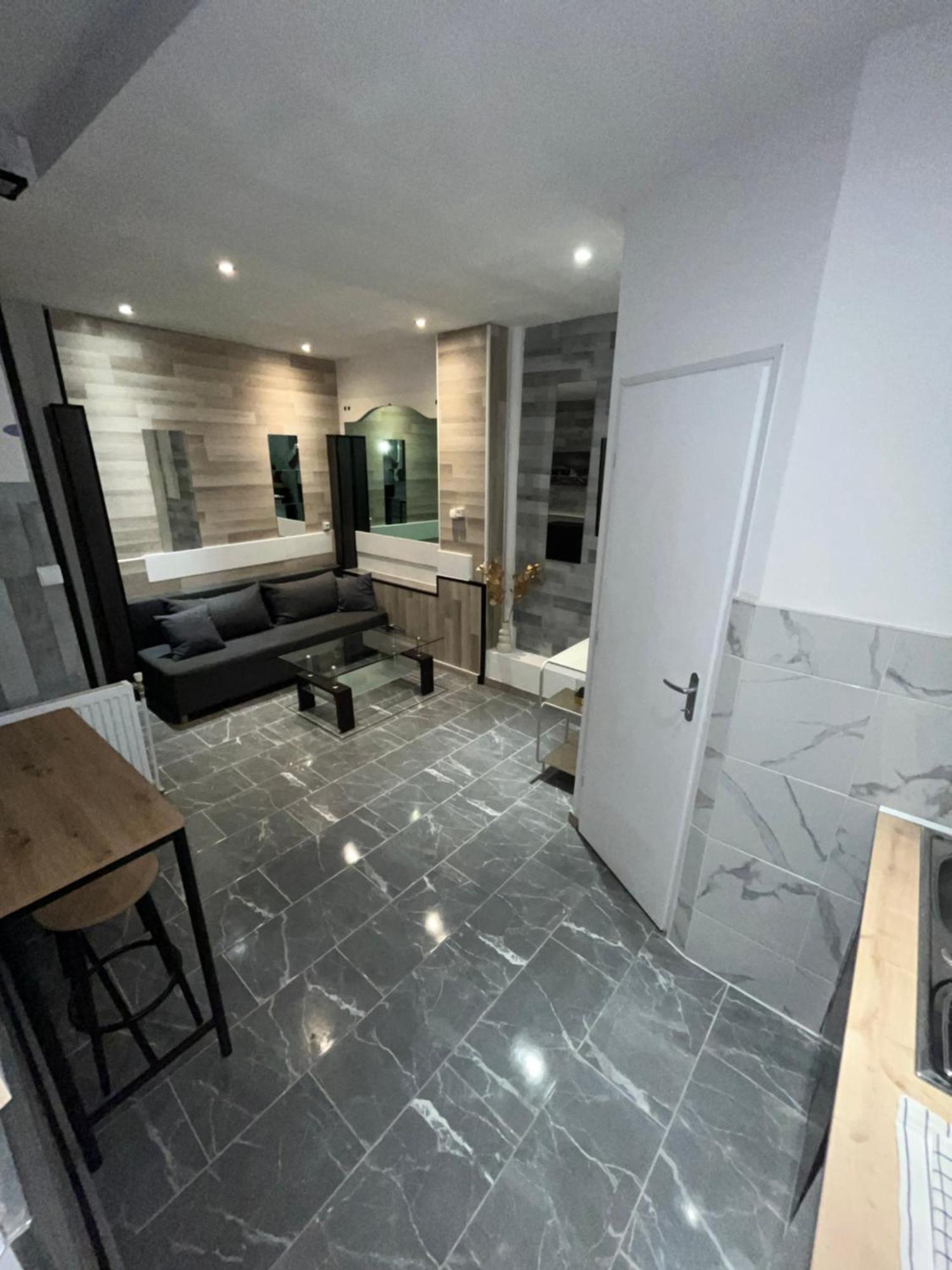 Appartement Moderne Centre Ville De Dijon Eksteriør billede