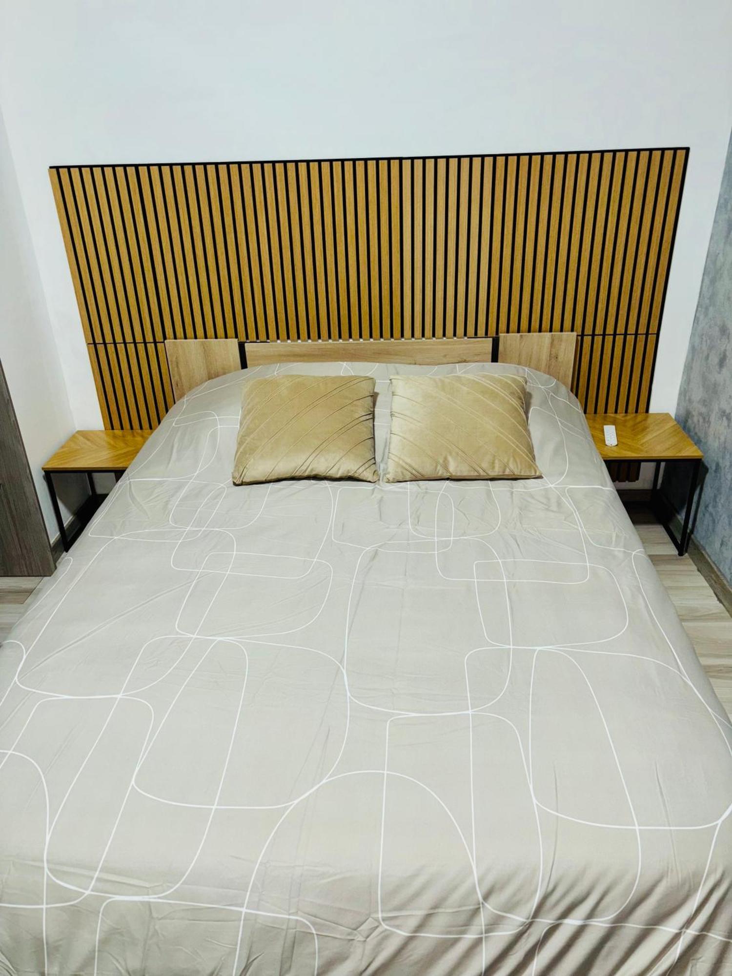 Appartement Moderne Centre Ville De Dijon Eksteriør billede