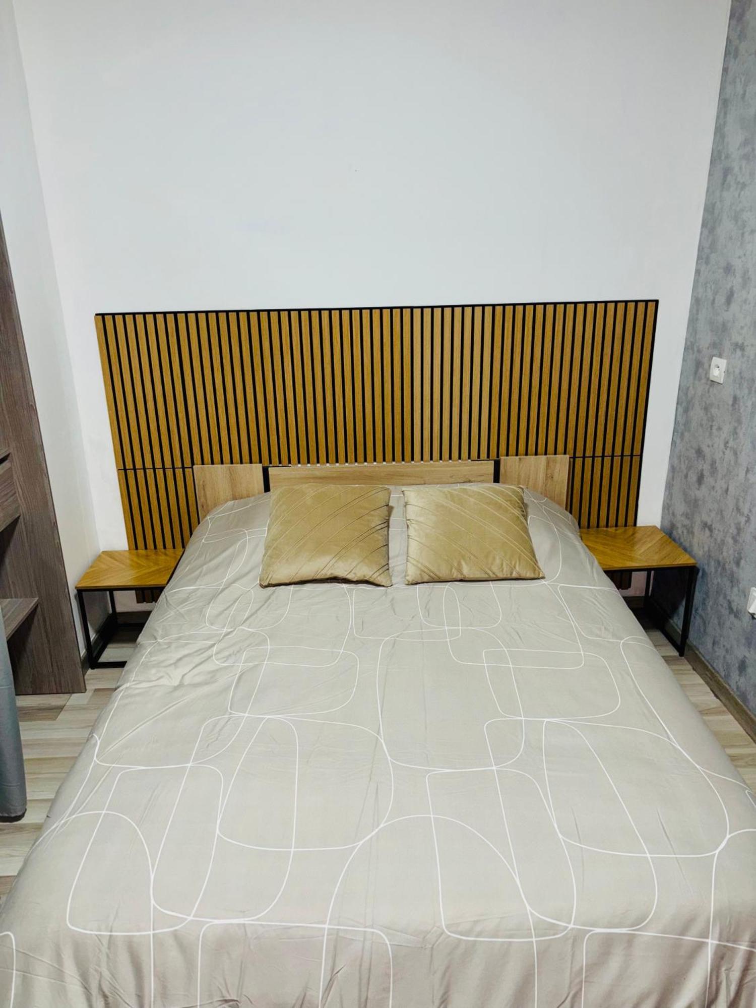 Appartement Moderne Centre Ville De Dijon Eksteriør billede