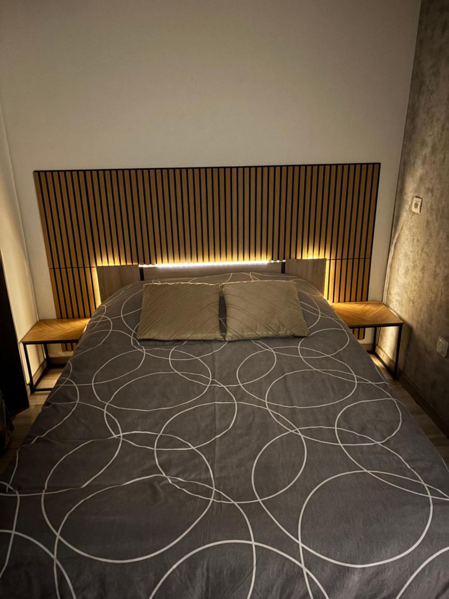 Appartement Moderne Centre Ville De Dijon Eksteriør billede